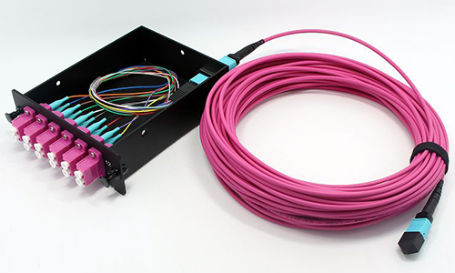 mpo patchcord