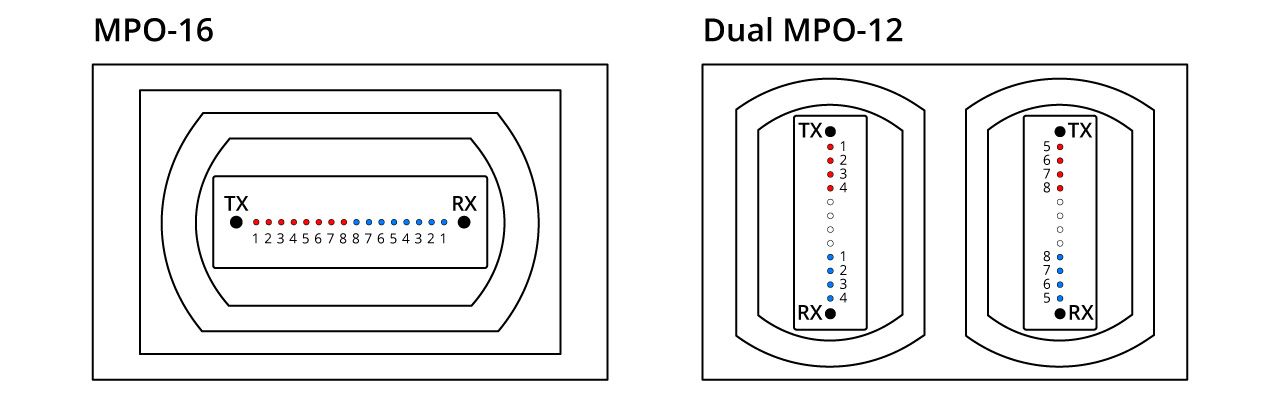 Dual 12C 16C MPO