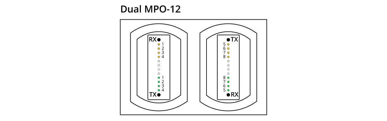 Dual 12C MPO