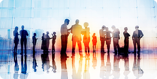 Sales Team
