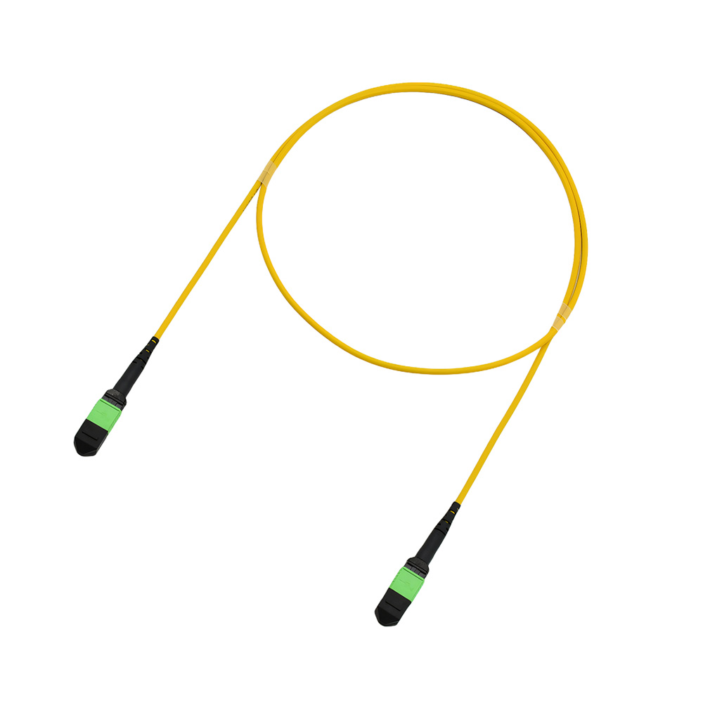 MPO-MPO M to M 24 Cores Type B Single Mode OS2 G657A1 ≤0.70dB 3.0mm OFNR Riser 5m (16.5ft)